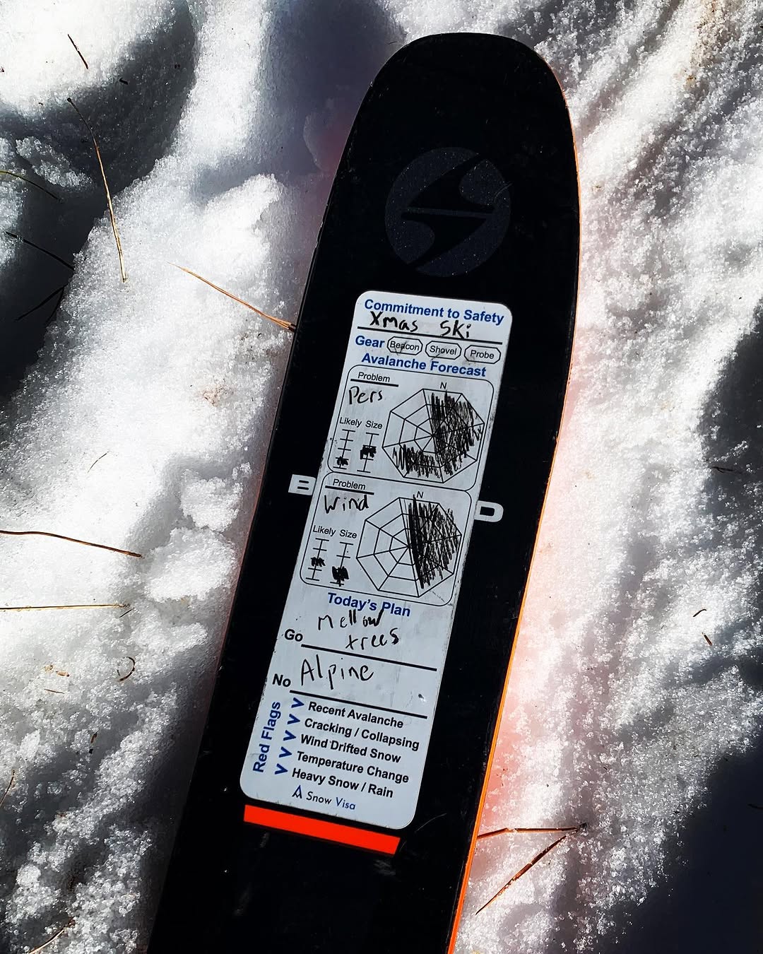 Snow Visa sticker filled in on a ski tip in the snow